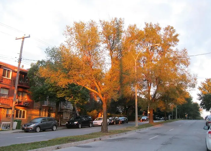 Heaven Is A Place On Earth Montreal